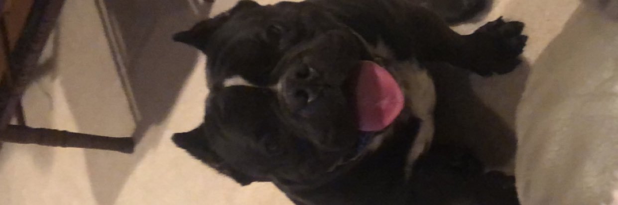 Talía🥀 banner