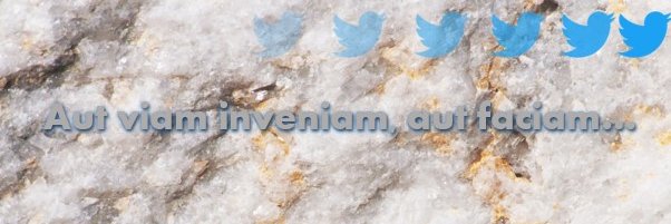 eddsclusief's profile banner image