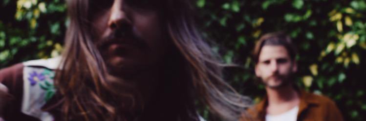 Lemonteeth banner