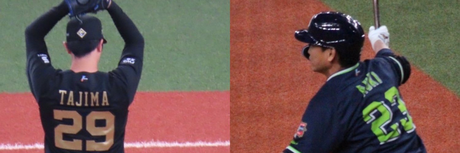 swllowper's profile banner image