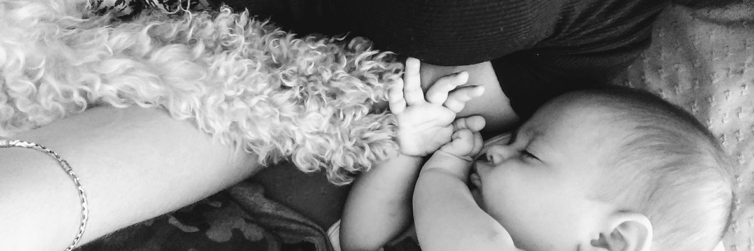 deniseprestif's profile banner image
