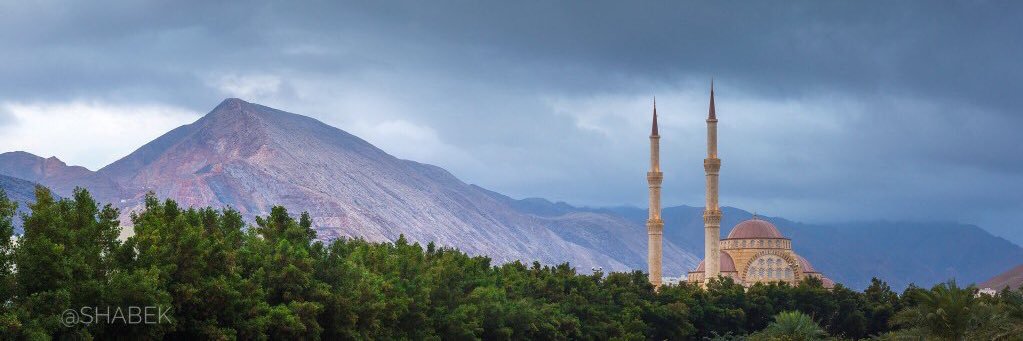 Ali Al Shidhani - علي الشيذاني banner