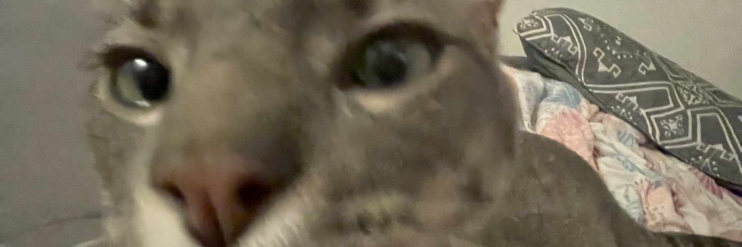m0b_house's profile banner image