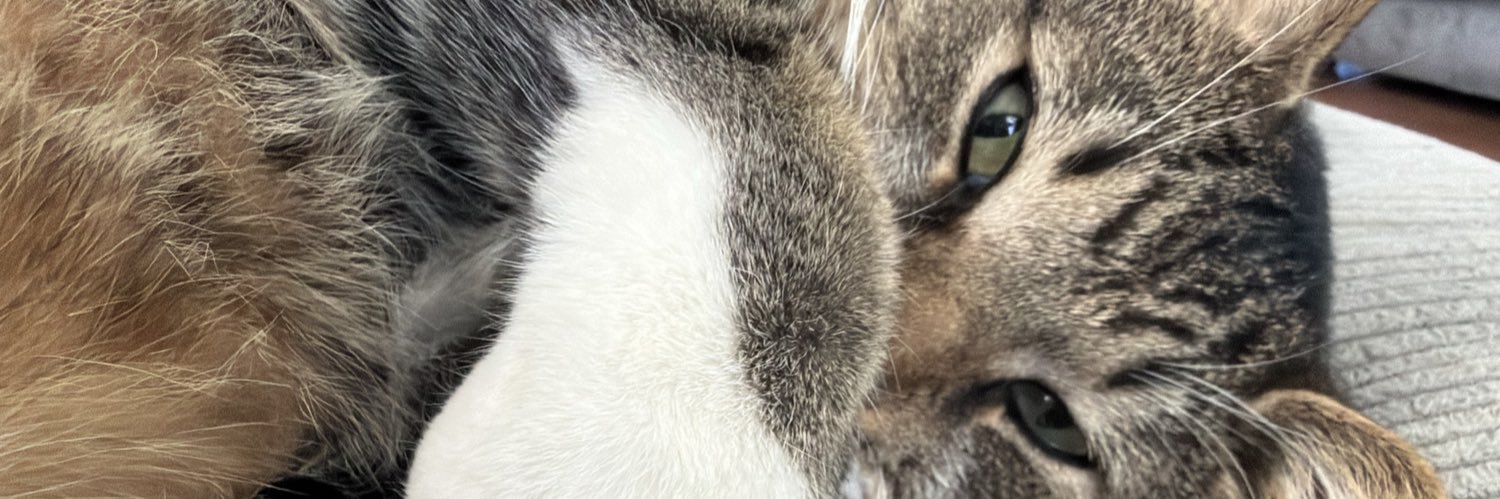 TheOnlyRia's profile banner image