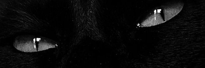 mplp96's profile banner image
