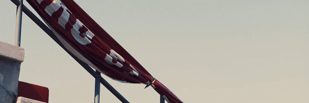 dinoiset's profile banner image