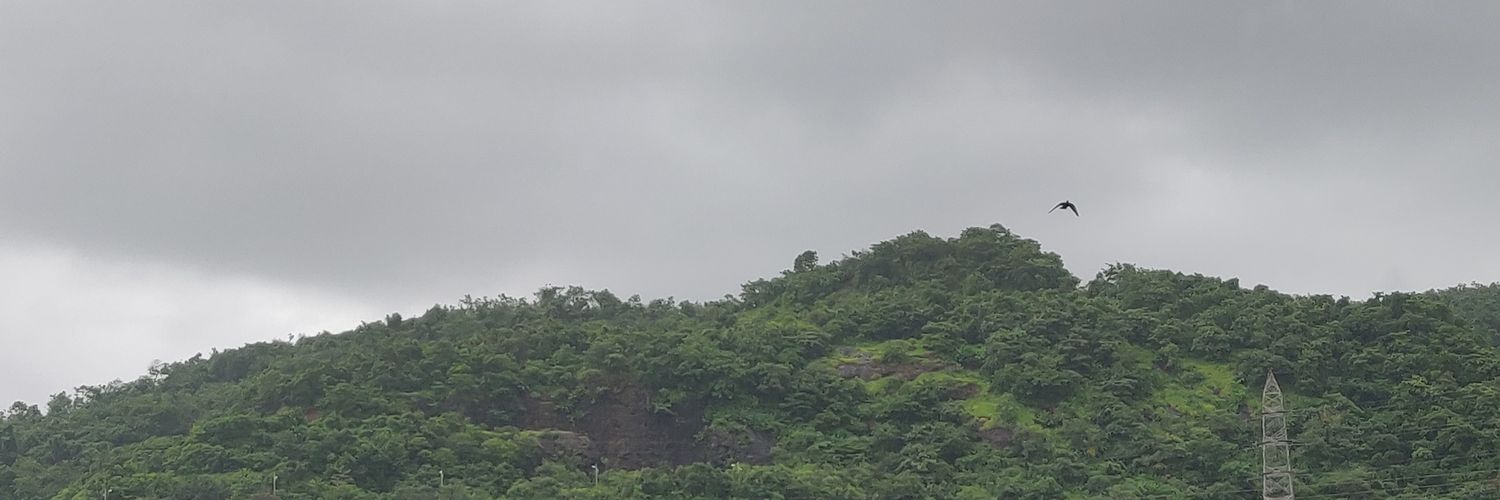 MissPainkillers's profile banner image