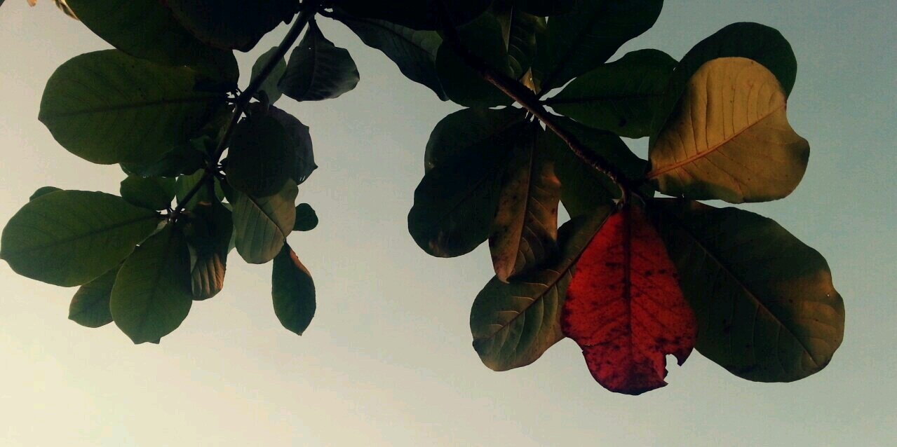 yoonjeekeum's profile banner image