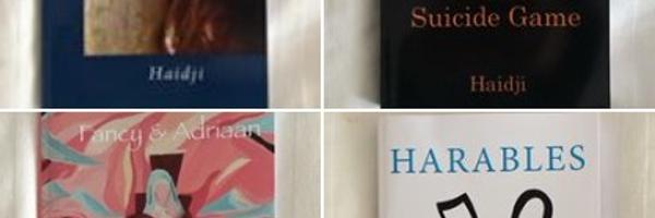 Haidji Profile Banner