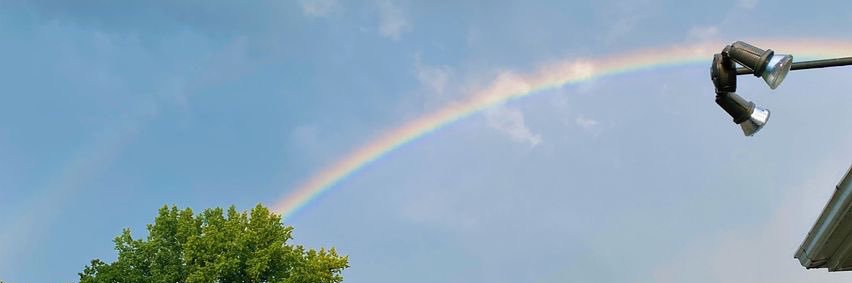 MeganBalsley's profile banner image