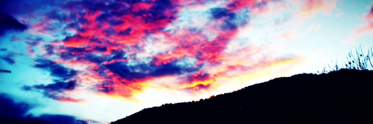 Lil Free banner