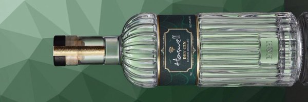 HaswellGin Profile Banner