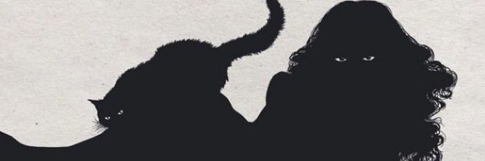 Laurasylum's profile banner image