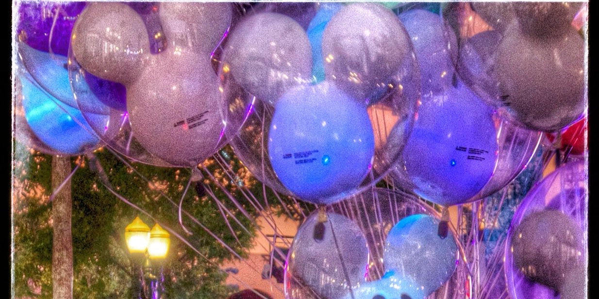 Niki Alexander🏡 banner