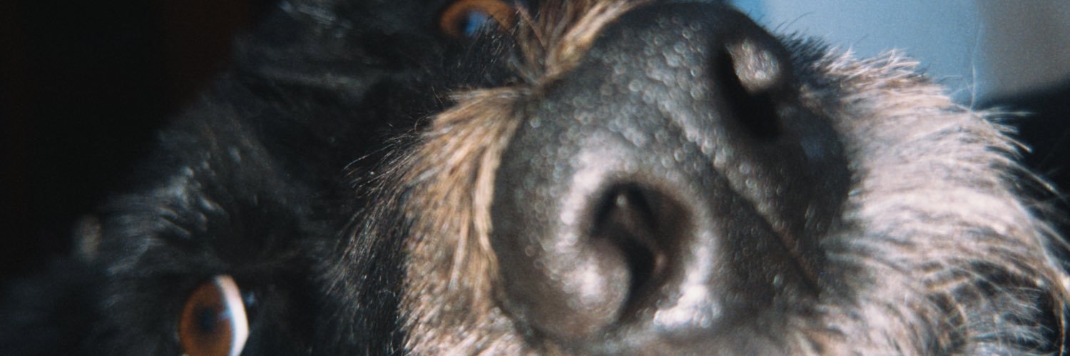 michasverissimo's profile banner image