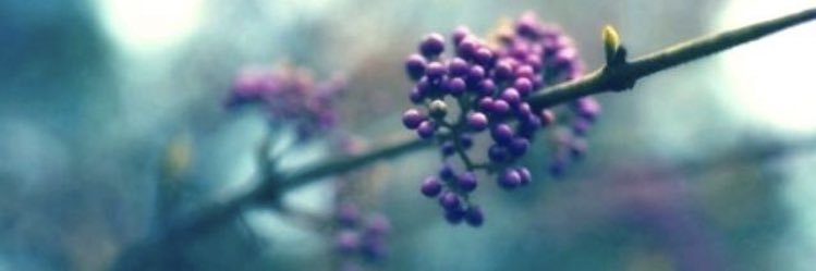 _3bdulah's profile banner image