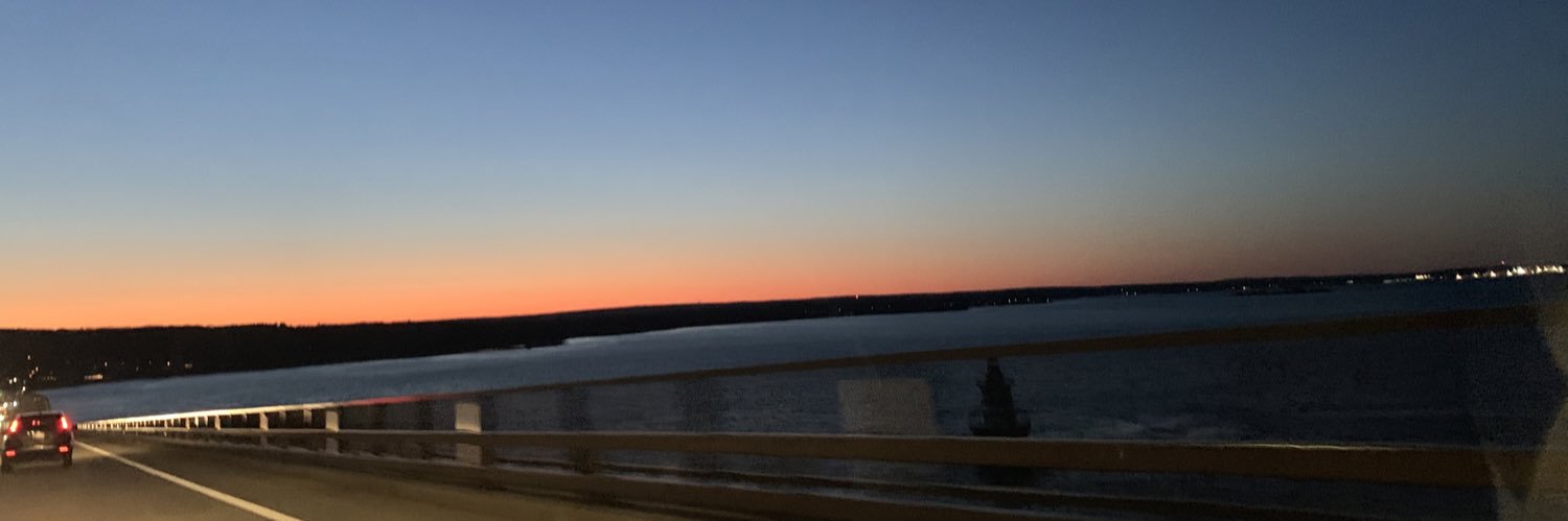 lizz_promo's profile banner image