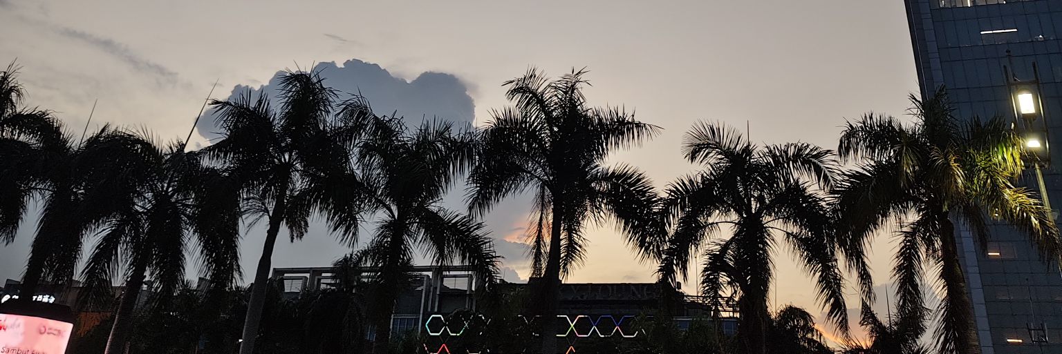 lfqris's profile banner image