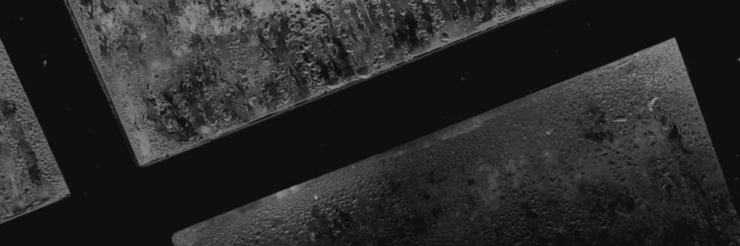 Caio amigo dos animais banner