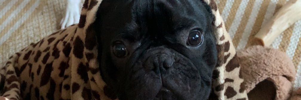 SummerMovick's profile banner image