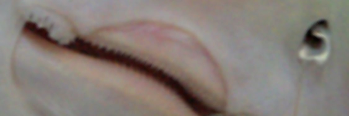 _Acquitz's profile banner image