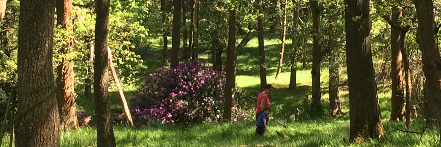 jenplumb's profile banner image