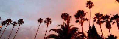 Allison banner