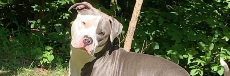 brody_lee12's profile banner image