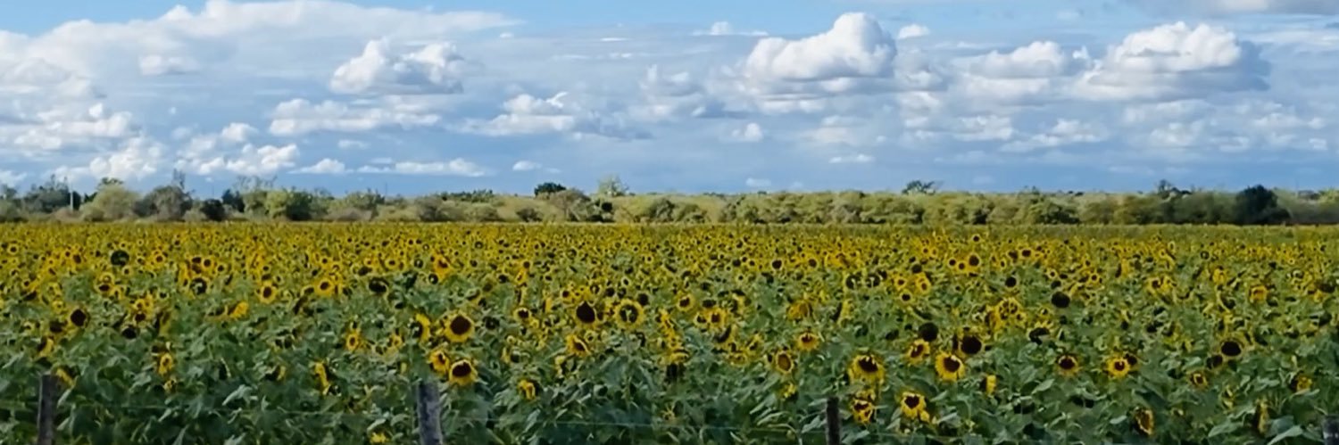claudia_maritza's profile banner image