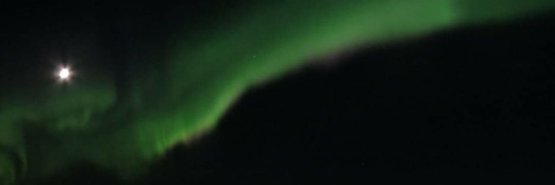 Mark Anderton banner