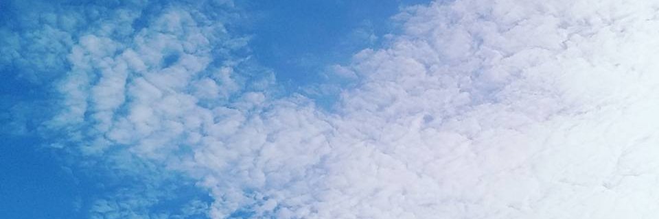 iam_pearless's profile banner image