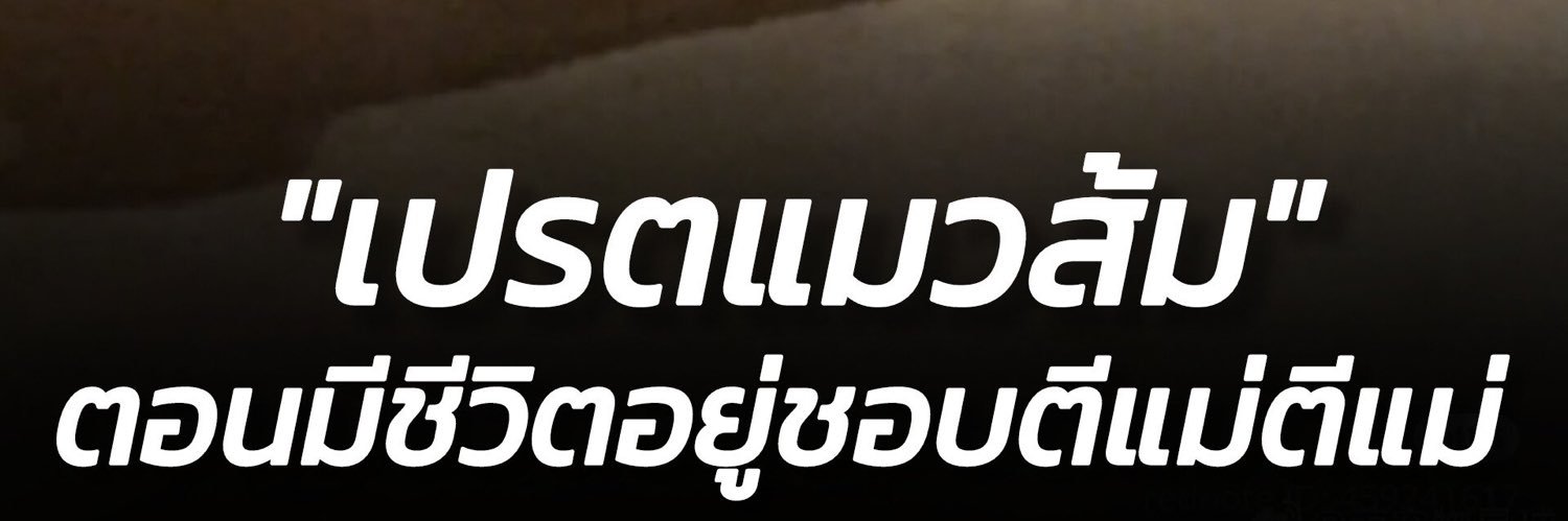 we_same_mind's profile banner image