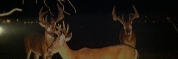 atwProstaff's profile banner image