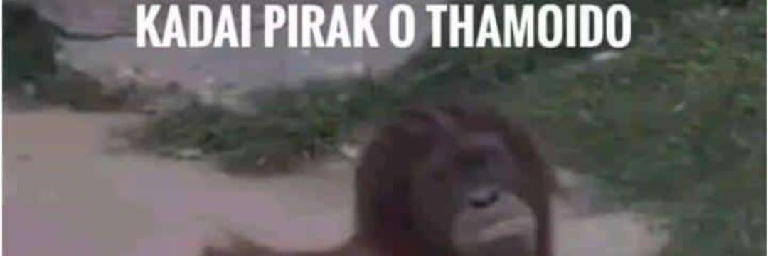 TheMᴑᴑnCarl banner