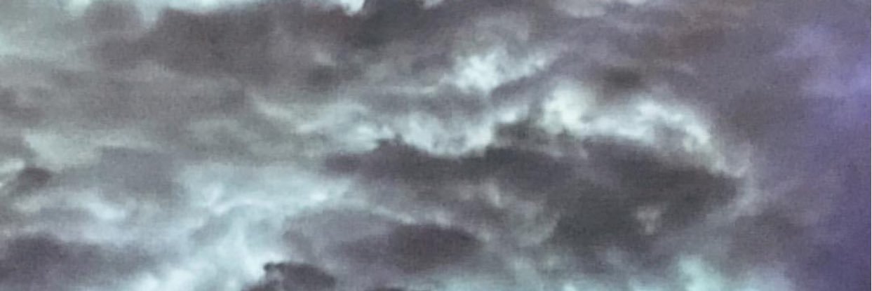 Emily_Buckley's profile banner image