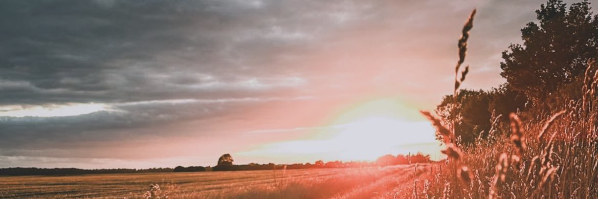 SehamAlFalahi's profile banner image