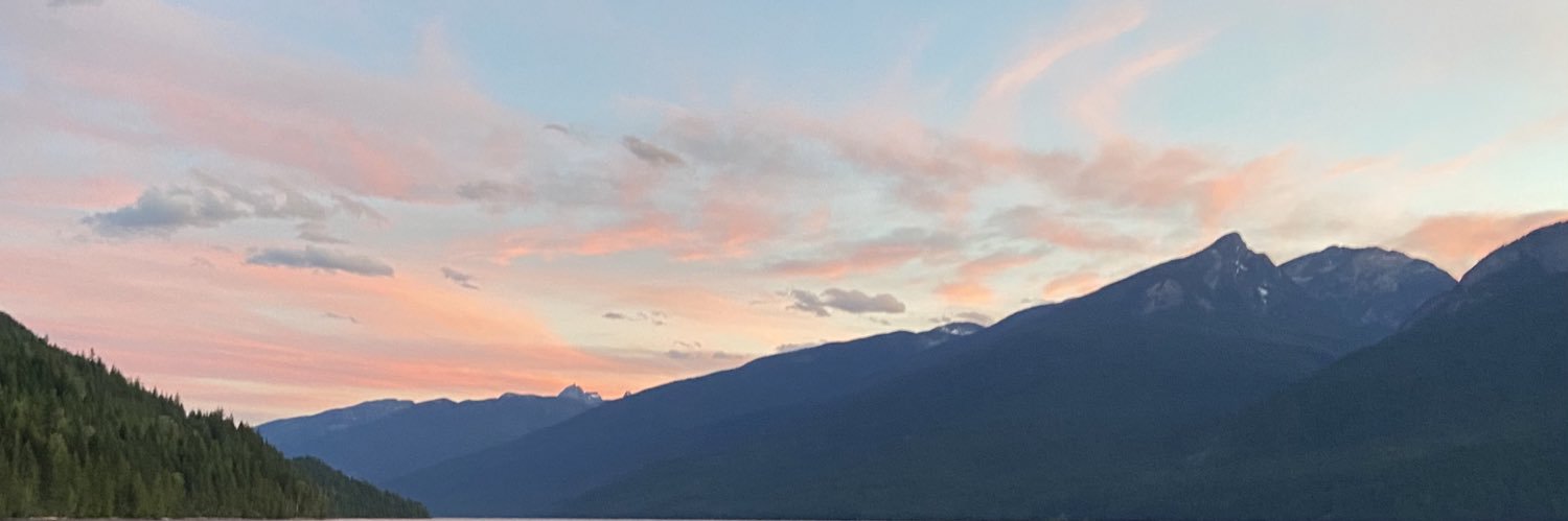 Hannah Scheck banner