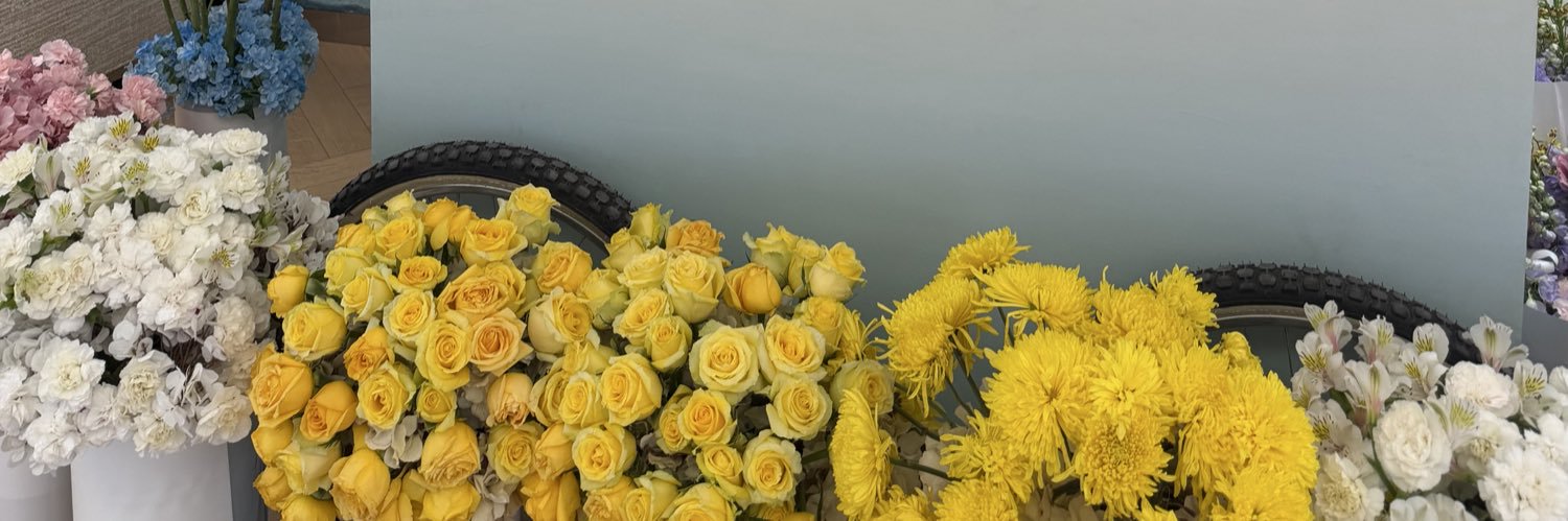 Alissa Stephanie banner