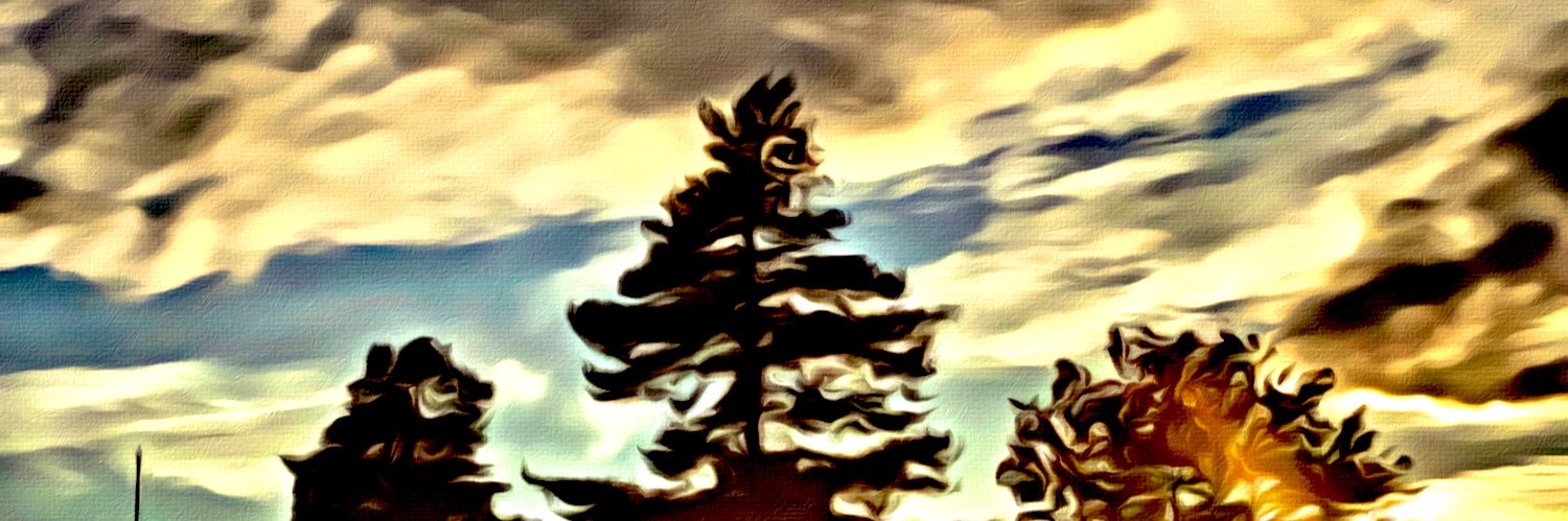 Leif Stenlund banner