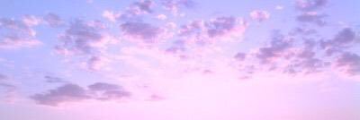 collpersonality's profile banner image
