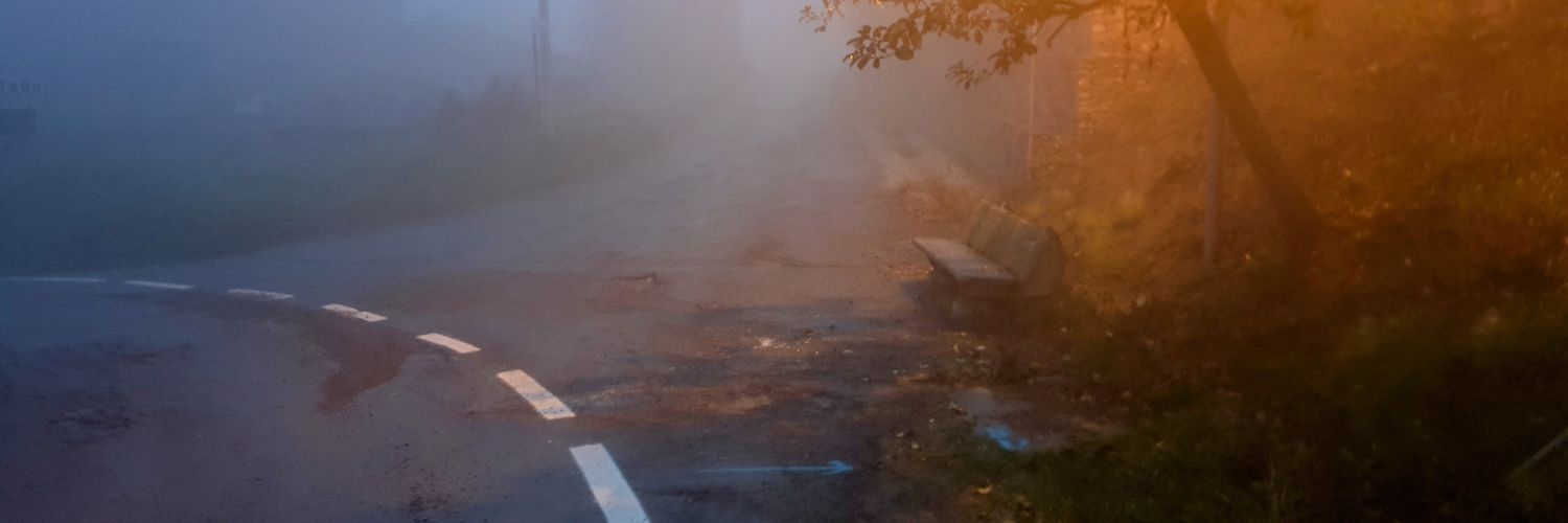 MagnaniEmme's profile banner image