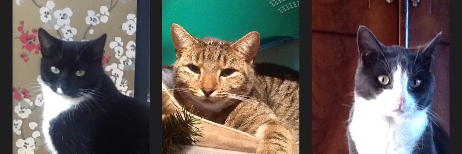 Bep_en_Toos's profile banner image