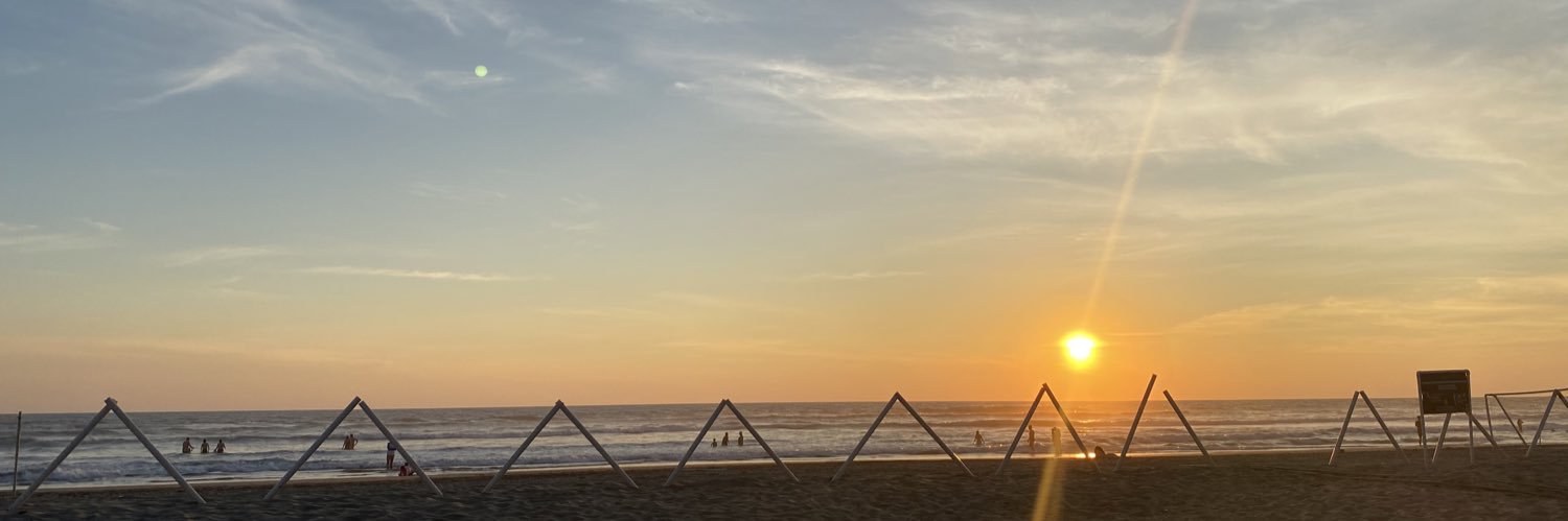 Pepeguaida's profile banner image