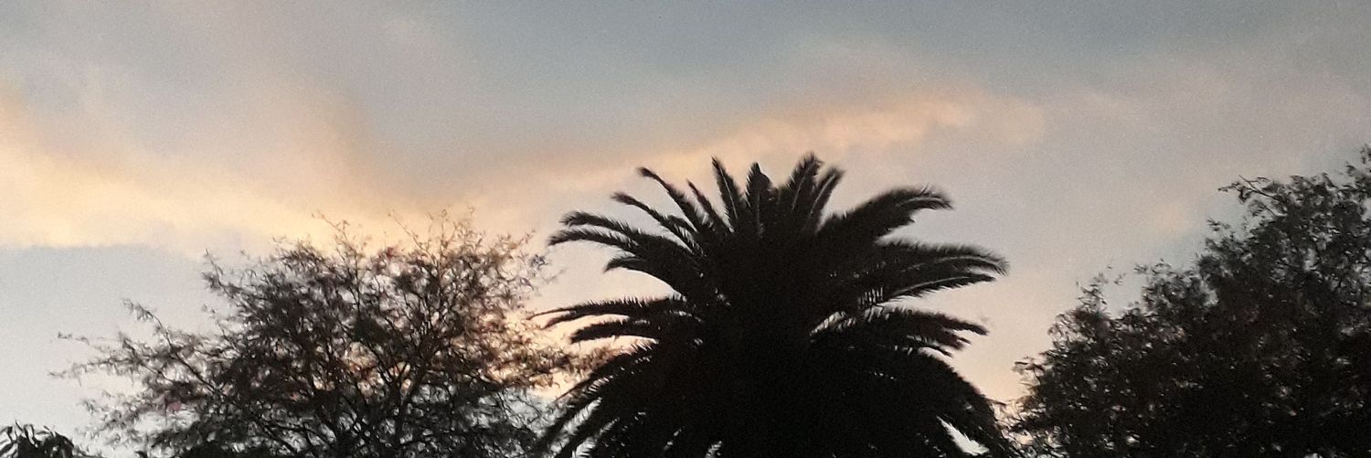 AraceliFares's profile banner image