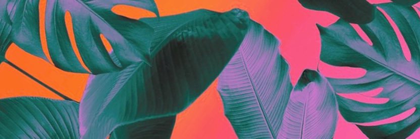 FLIPveloso's profile banner image