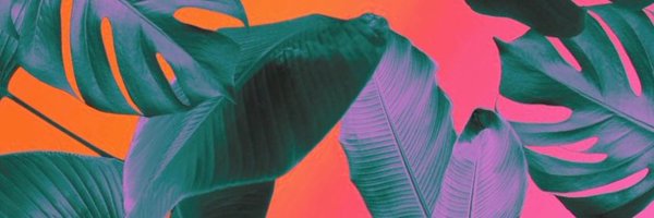 FLIPveloso Profile Banner