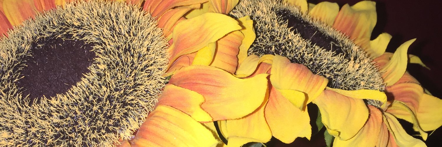 MorganHansen4's profile banner image