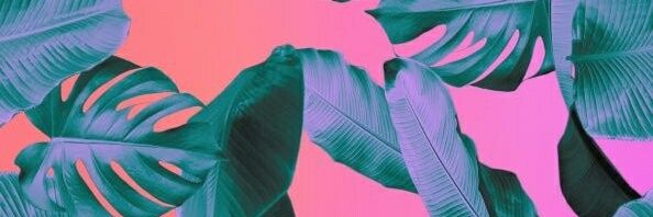 cangunaltan's profile banner image