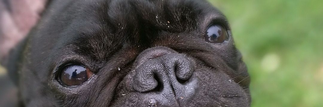 juanpac's profile banner image