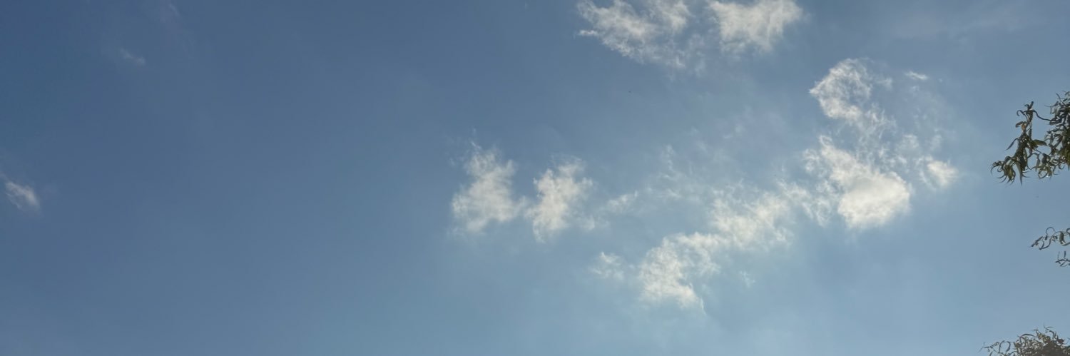 chazatronic's profile banner image
